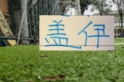 天博体育-申花1米95非洲前锋已回基地|上海申花|鲁迪·盖伊|西乙|上海申花足球俱乐部|鲁迪-盖伊_新浪体育_新浪新闻